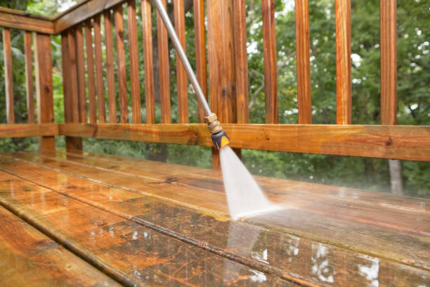 Best Fence Cleaning  in Dubuque, IA